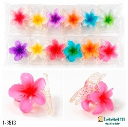 Zajim 1-3513