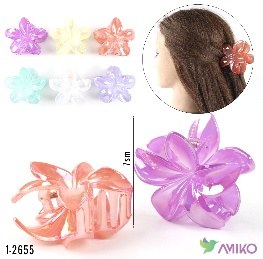 Zajim 1-2655