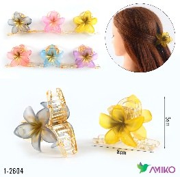Zajim 1-2604