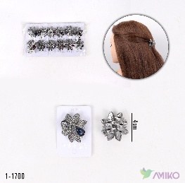 Zajim 1-1700