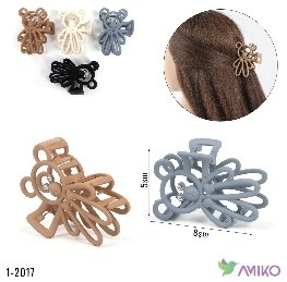 Zajim 1-2017