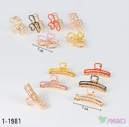 Zajim 1-1981