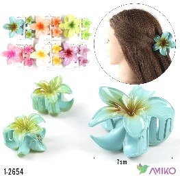 Zajim 1-2654