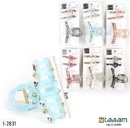 Zajim 1-2831