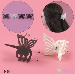 Zajim 1-2460