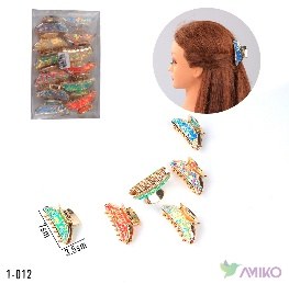 Zajim 1-012