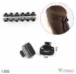 Zajim 1-2313