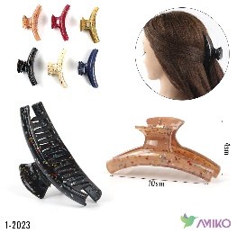 Zajim 1-2023