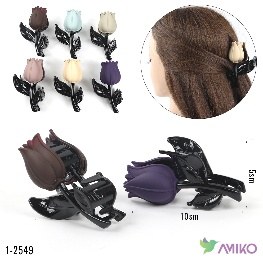 Zajim 1-2549