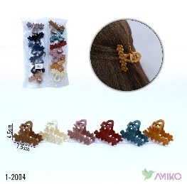 Zajim 1-2004