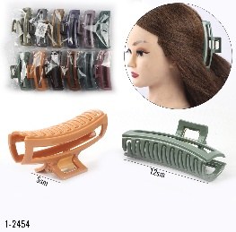 Zajim 1-2454