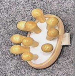 Massaj anjomlari 41